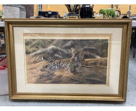 A LARGE GILT FRAMED LIMITED EDITION - 333/1100 - PRINT OF A LEOPARD SIGNED ANTHONY GIBBS 112CM X 78CM 