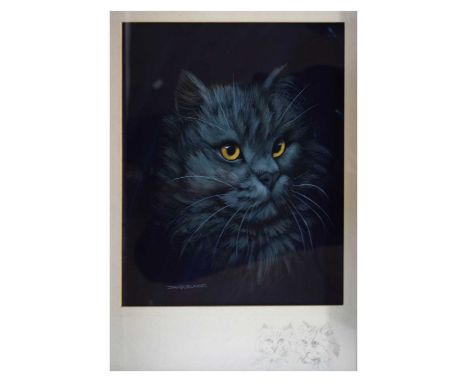 David Blake (Bristol Savages) - Watercolour/Gouache - Study of a cat with pencil sketch to the mount, signed lower left, 25cm