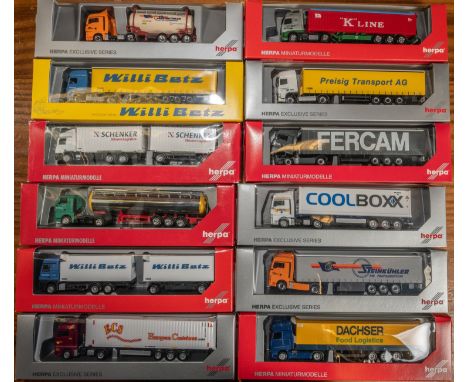 12 Herpa 1:87 Scale Trucks. 6x MAN TG- ECS, 2x Steinkuhler including a tanker. Coolboxx, Gartner KG and Fercam. Plus 3x Merce