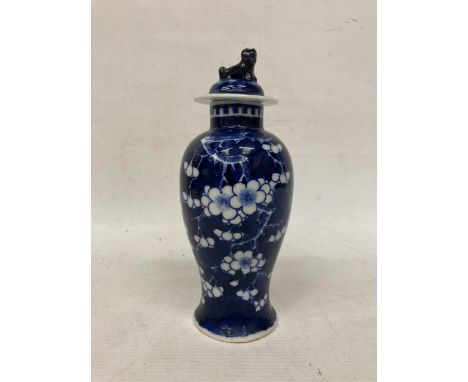 A CHINESE COBALT BLUE PRUNUS BALUSTER VASE AND COVER WITH FOO DOG FINIAL WITH KANGXI MARK TO BASE - APPROX 22.5 CM 