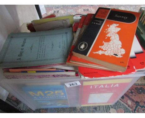 A large quantity of maps, mainly ordnance survey