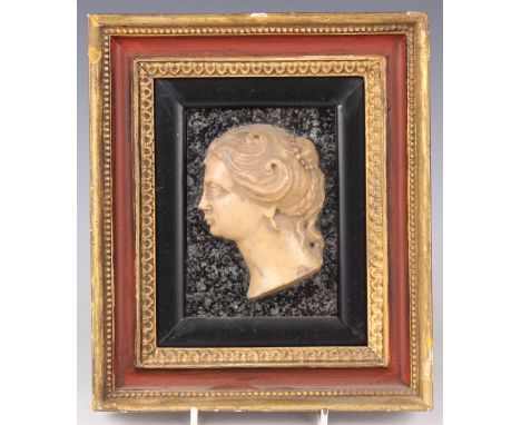 An 18th/19th century carved marble profile portrait of a Grecian style lady, set against a granite backplate and mounted with