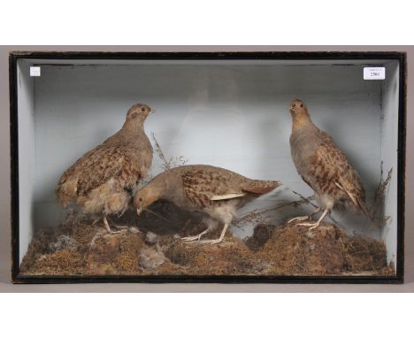 A late Victorian taxidermy specimen group of three partridges, set within a glazed case, the reverse bearing label detailed '
