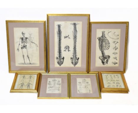 ANATOMICAL PRINTS; a system of anatomical plates by John Lizars comprising general view of the skeleton plate I, and view of 
