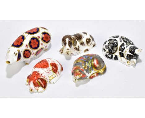 ROYAL CROWN DERBY; five animal form paperweights including model of a pig, Misty, puppy, catnip, kitten, etc (5).Additional I