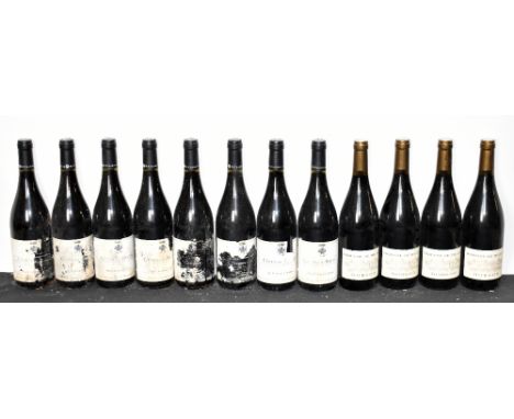 RED WINE; twelve bottles of mixed red wine including eight bottles M Chapoutier Cotes-du-Rhone 2010, 14%, 750ml, four bottles