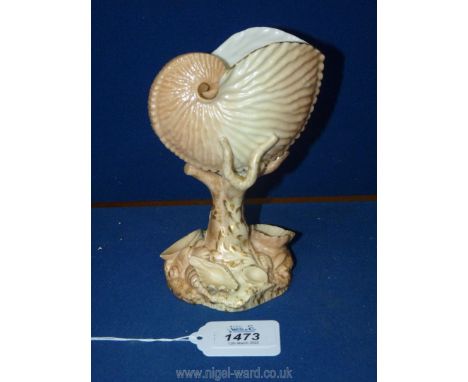 A Royal Worcester blush ivory Shell vase, coral stem, shell encased base with gilt, no. 101 to base, 6 3/4" tall.