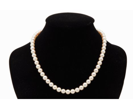 AN AKOYA CULTURED PEARL NECKLACE
With 56 pearls in total, measuring 7.0-7.5mm
Marked 'silver' to the clasp
42cm long
32.12g
C