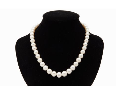 AN AKOYA CULTURED PEARL NECKLACE
With 45 pearls total, measuring 8.8 - 11.6mm
Marked 'silver pat.' to the clasp
43cm long inc