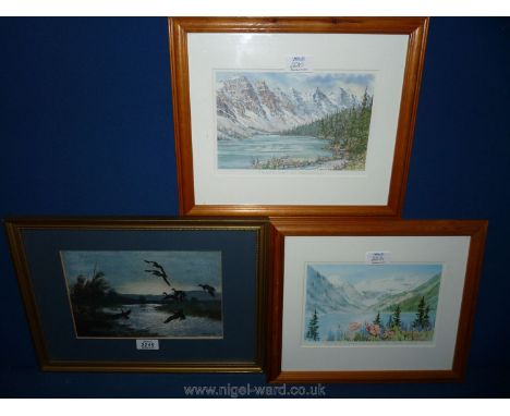 A Peter Scott framed Print and a pair of Marilyn Kinsella prints