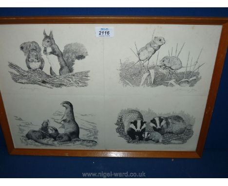 Four Prints of animals, framed as one, signed Anthony John.