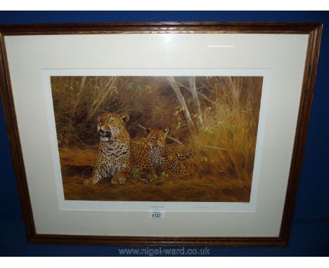 A Kim Donaldson limited edition Print, Leopard and cub, signed.