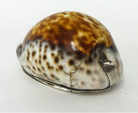 A 19th century cowrie shell snuff box, with silver coloured metal mounts, initials HD.