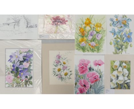 A Collection of Eight Floral Watercolours and one Rural Building Pen Sketch by Doris Brown S.W.A (1933-2023) and June Inskip.