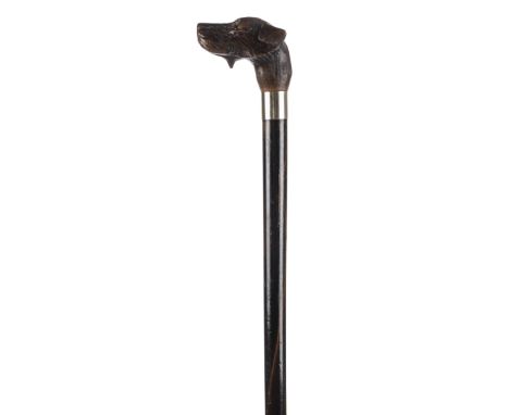 *Walking Cane. An Edwardian novelty wood walking stick,  the knop carved with a retriever with sprung mouth to become a kid g