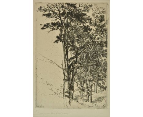 *Haden (Francis Seymour, 1818-1910 ). Firs (a study), 1868,  etching on thick laid paper, printed with plate tone, the first 