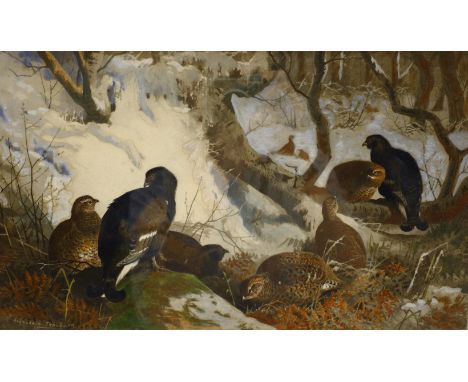 After Archibald Thorburn (British 1860-1935): 'Blackgame', colour print signed in pencil, titled verso on Holland & Holland g