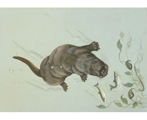 Andrew Alexander (British Contemporary): An Otter Hunting Fish, watercolour signed with monogram 26cm x 19cm (unframed)