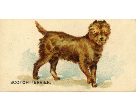 GOODWIN, Dogs of the World, Irish Terrier (front & back), Scotch Terrier (front only), G, 2