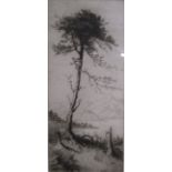 Framed original drypoint by J Alphege Brewer - 'The Lone Pine' - approx. 49.5cm x 25.5cm