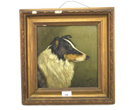 An early 20th century portrait of a dog. Oil on board, depicting a border collie, indistinctly signed to bottom right 1906, i
