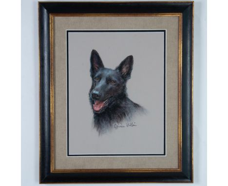 Original oil pastel on beige paper by American artist Chris Billis who drew a splendidly realistic black German Shepherd fema