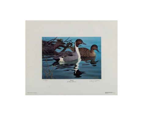 A vintage color lithograph on paper titled Pintails by wildlife artist Randy McGovern, depicting two ducks swimming. Printed 