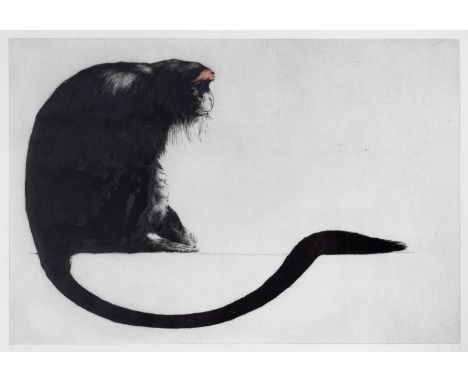 Helen Fay (b.1968)
De Brazza, 1996
artist's proof, signed, dated, and titled in pencil (in the margin)
etching
65 x 100cm.