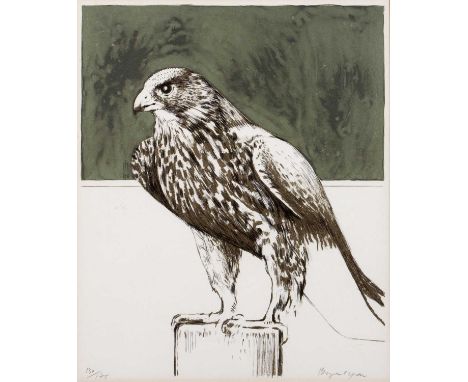 Bryan Organ (b.1935)Hawk, lithograph, pencil signed in the margin and numbered 130/175, 28 x 23cm