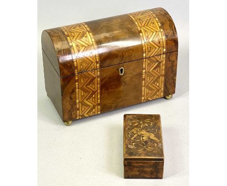 VICTORIAN DOMED TOP WALNUT DOUBLE TEA CADDY - having two bands of parquetry inlay and gilded ball feet, 16cms H, 22cms W, 11c