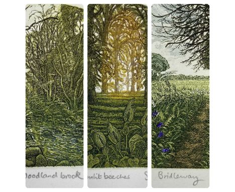 STEPHEN WHITTLE (British 1953-2000) limited edition etchings in colour (3) - (95/200) "Sunlit Beeches", 20 x 18cms, (84/200) 