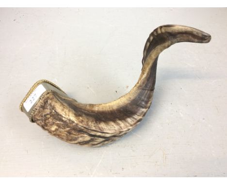 C20th rams horn made into a Zippo lighter holder 