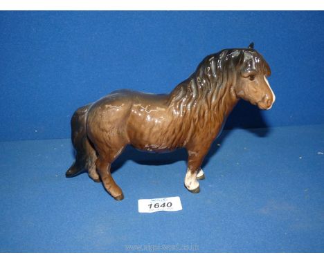 A Beswick gloss finish Shetland Pony, model no. 1033.