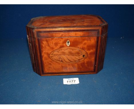 A Tea Caddy having shell pattern marquetry to the front and the lid, 7 1/2" x 4 1/2" x 5" tall.