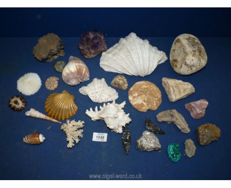 A quantity of shells and gems including Amethyst, coral, conch, auger etc