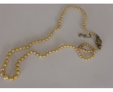 Natural Saltwater Yellow Pearl Necklace, the single strand graduated pearl necklace secured by a sapphire and diamond clasp, 