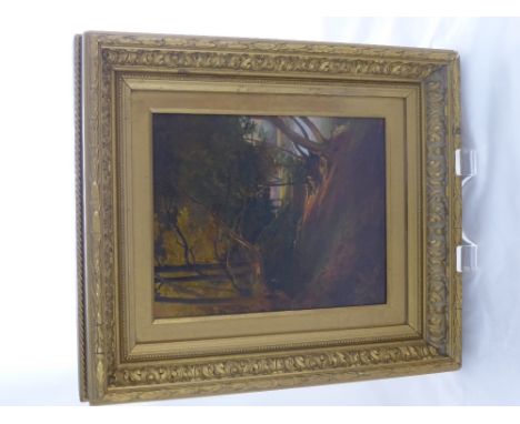 E.M. Welch, 19th Century Woodland Study, entitled "Near Camp, Worcester" oil on board, monogram lower right, approx 20 x 25 c
