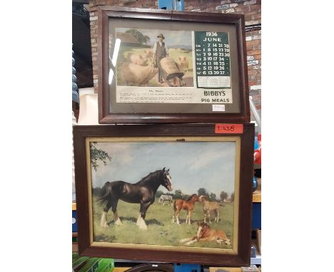 A VINTAGE FRAMED JUNE 1936 CALENDAR PAGE ADVERTISING BIBBY'S PIG MEALS PLUS A PRINT OF A SHIRE HORSE AND FOALS 