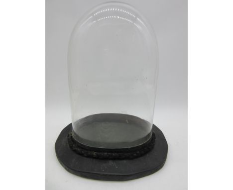 A vintage glass dome on replacement stand (some chips to dome) total height 31cm
