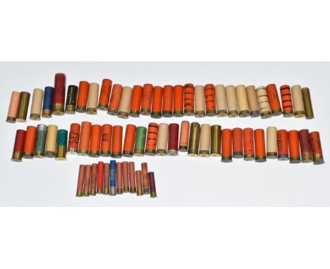 Over 60 collector's shotgun cartridges including Nobel's Empire 12 bore brass cased, 8 bore, 16 bore, .410 etc.  PLEASE NOTE 