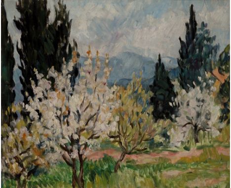 Marie-Lucie Nessi-Valtat,  French 1900- 1992 -   Spring Landscape;   oil on panel, signed lower right 'M Nessi', 38 x 46 cm (