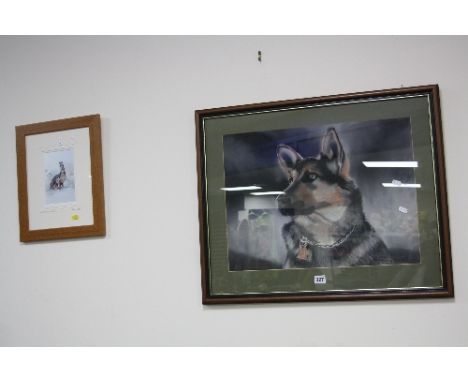 A PASTEL SKETCH OF A GERMAN SHEPHERD, 40cm x 54cm (not including mount), together with a print after Pamela Budge 'Brown Hare