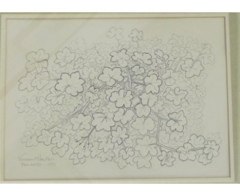 Vincent Butler RSA (1933-2017) 'Panarea' Pencil Sketch of Flowers, signed and dated 1991, in a glazed frame, 32 x 23cm 
