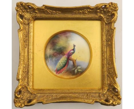 A circular Royal Worcester plaque, decorated with peacock in a tree by Reg Austin, diameter 3.75ins -&nbsp;from what is visib