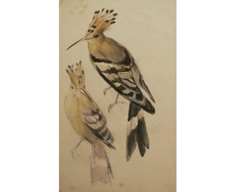 10 sketches by the Royal Worcester Porcelain artist George Johnson. George Brownell Johnson was born on 6th August 1859 and w