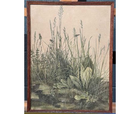A Group Of Five Botanical And Insect Related Prints To include a 19th century hand coloured print of a dragonfly, 20cm x 12cm