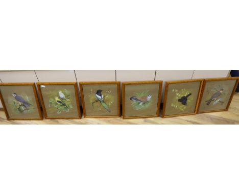 K J Wood, set of six watercolour and gouache, Studies of birds, signed and dated 1966, 52 x 45cm