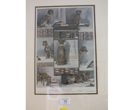 A FRAMED &amp; GLAZED VINTAGE PRINT ENTITLED A DOG NOVEL 
