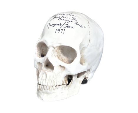 Hammer Horror - an exclusive 1/1 scale anatomically correct replica skeleton skull, identical to those seen in various public