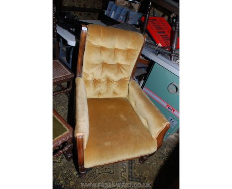 A gold velvet upholstered button back, walnut framed 19th century Armchair